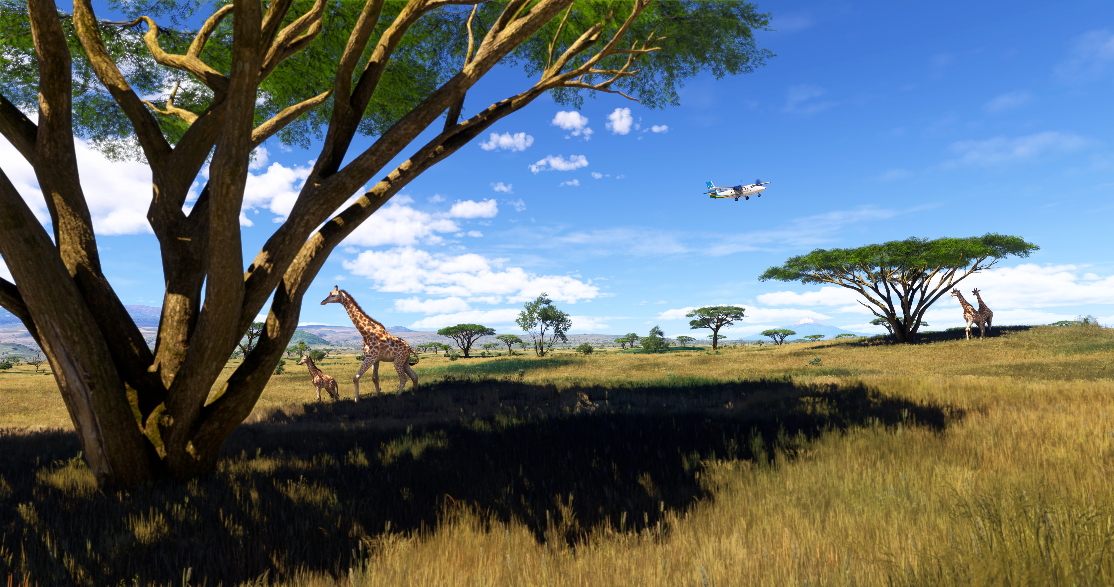 Microsoft Flight Simulator 2024
